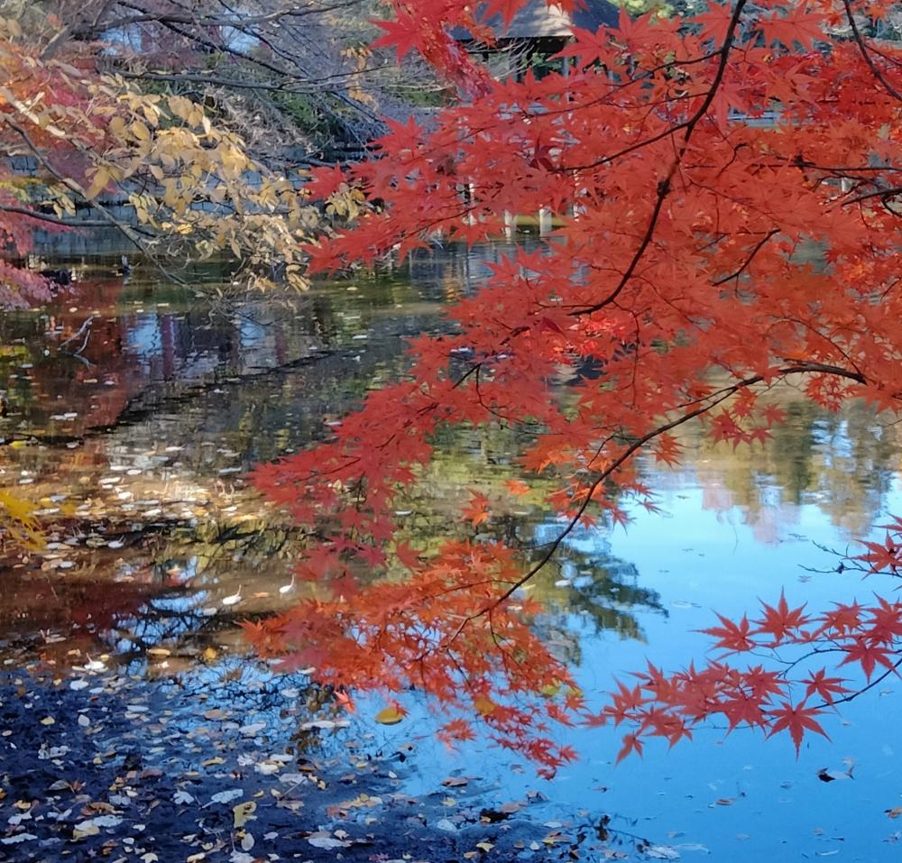 お気に入りの絶景スポット