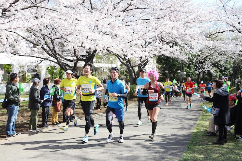 「練馬こぶしハーフマラソン2020」 　おすすめの観戦ポイント＆会場での楽しみ方、教えます！　 画像