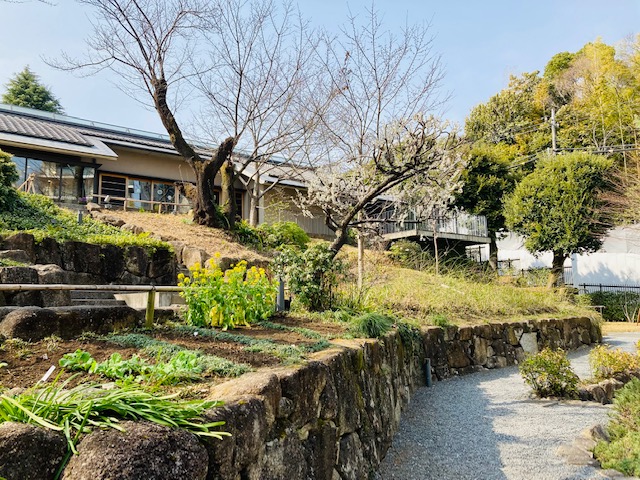 小説家がめぐる「春を味わう豊島園」 画像