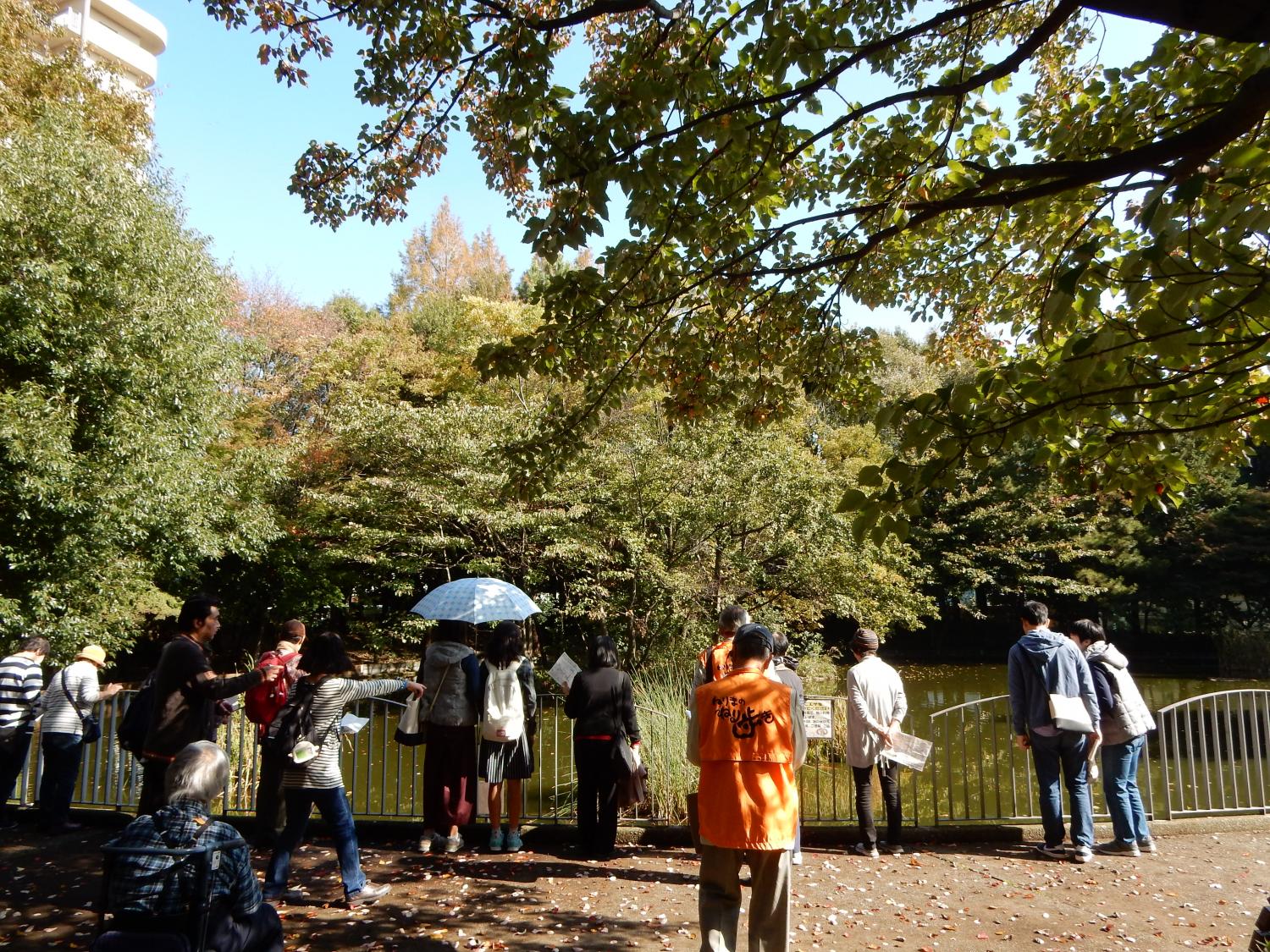 春の風公園