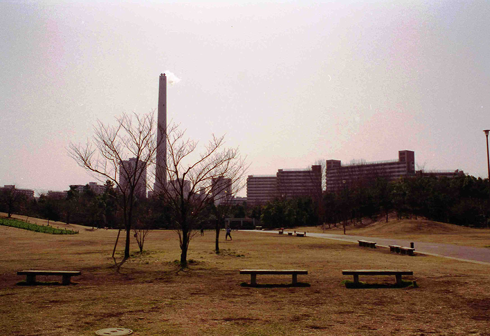 〔昭和56年〕光が丘公園がついに開園！ 画像