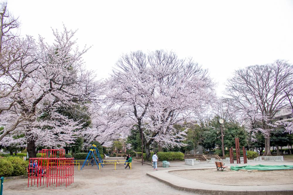 自然を身近に感じる、遊具が充実した徳殿公園（まっぷ：Eコース） 画像