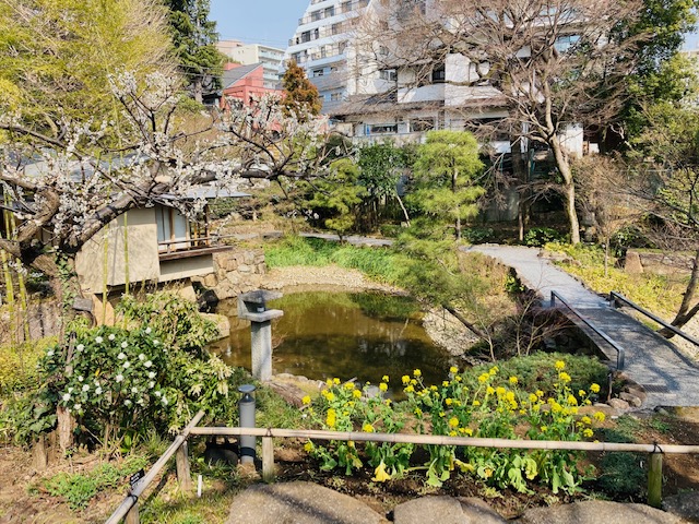 自由に、優雅に、空に伸びゆく植物たち。 画像