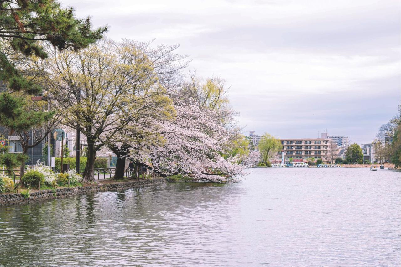 【サブミッション1】～自然とアートが溶け合う！屋外彫刻で【感受性】アップせよ！～