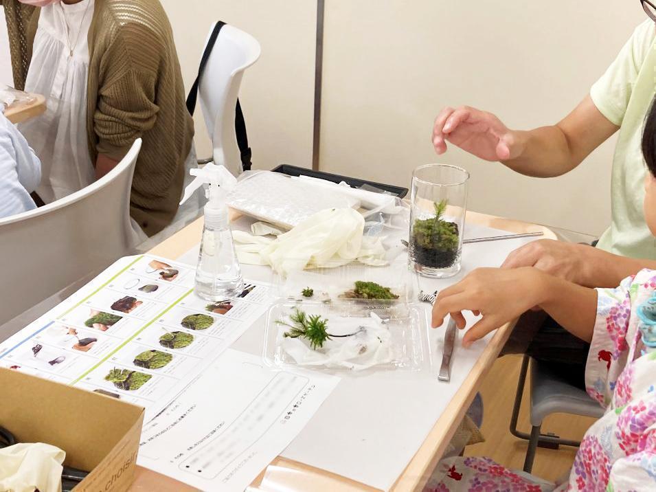 ▪️苔テラリウムを作ろう