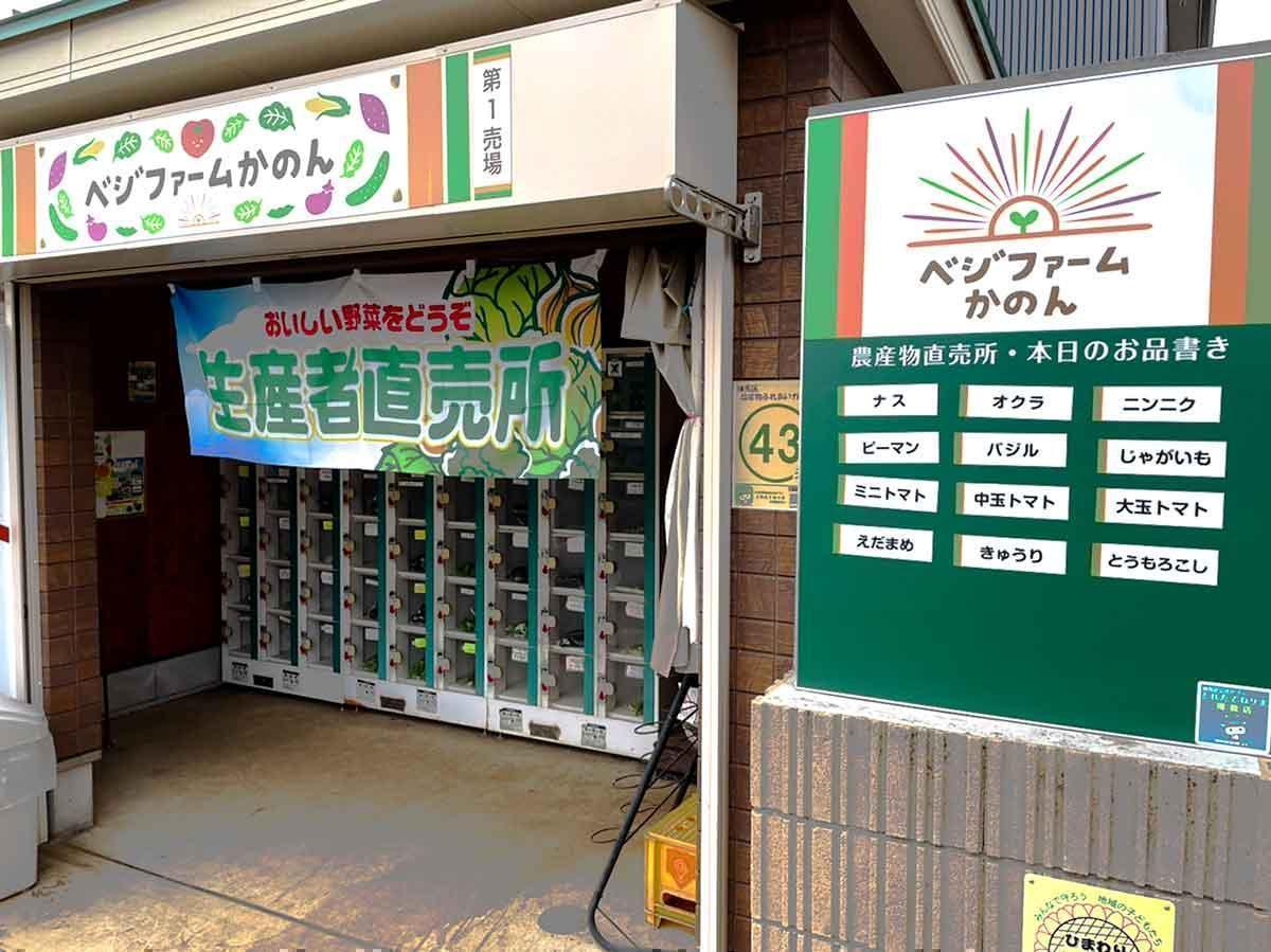 【催行決定】2025年度　第7回【ねりま観光ツアー】芸術！＆食欲？の秋　ちひろ美術館・東京で鑑賞＆ベジファームかのんでサツマイモ掘りツアー　参加者募集 3