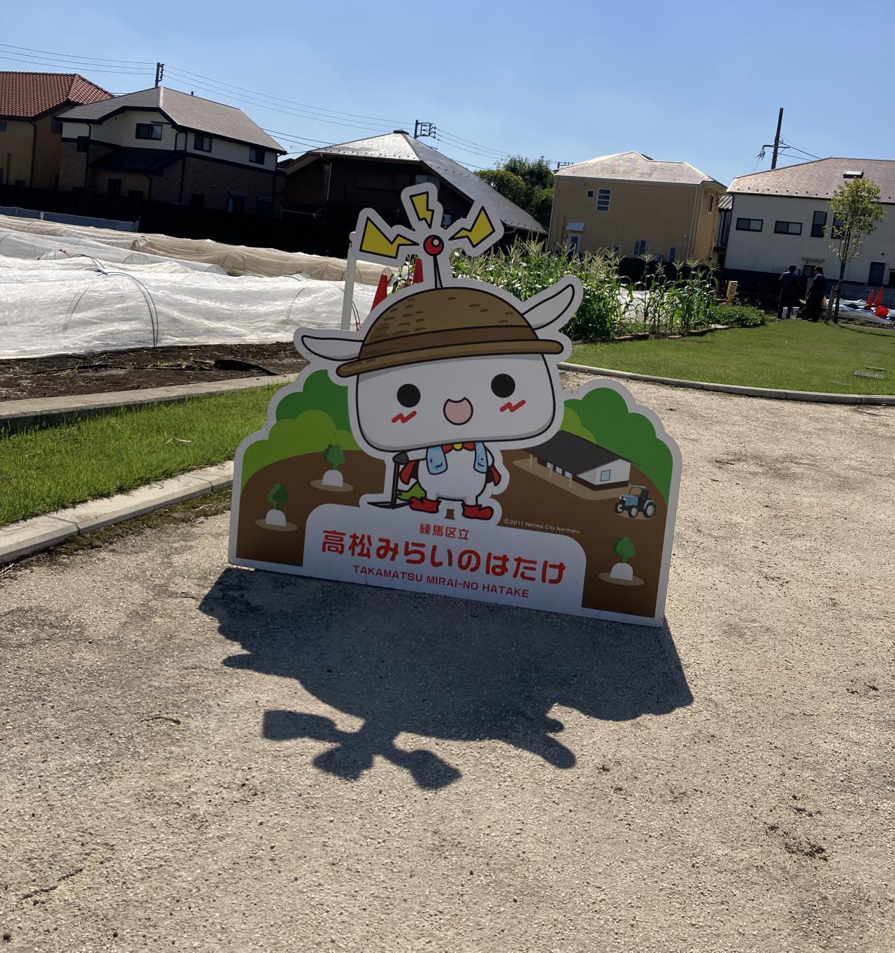 【催行決定】2025年度　第10回【ねりま観光ツアー】農の恵みと風景をめぐるツアー「よみがえった江戸東京野菜　練馬大根収穫体験」参加者募集 2