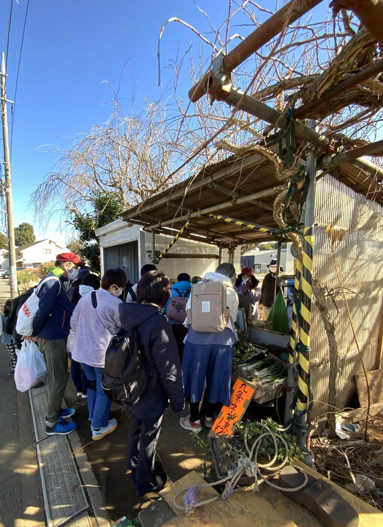 2025年度　第12回【ねりま観光ツアー】「イチゴ狩り＆とれたてイチゴパフェ作り体験ツアー参加者募集」 3