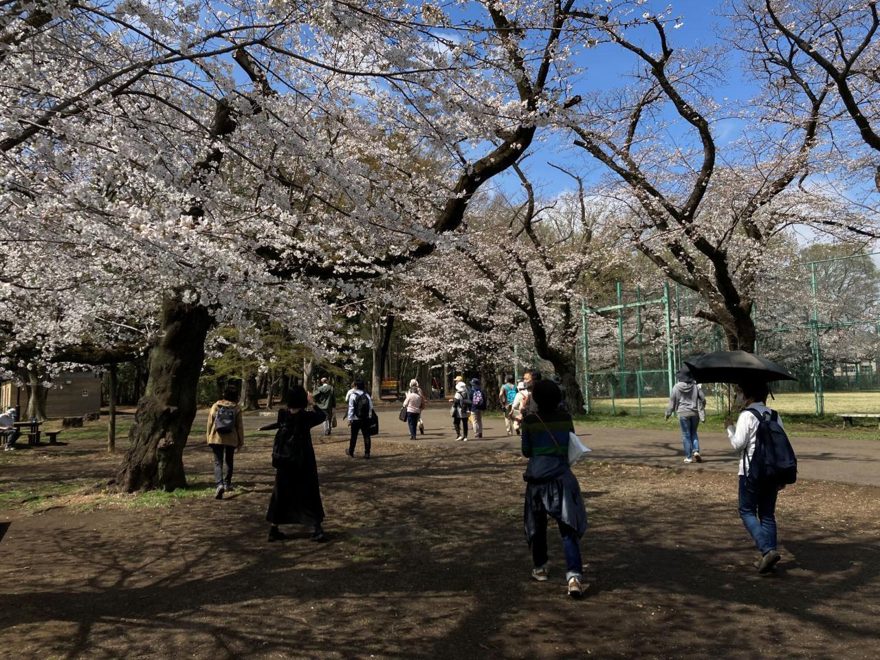 2026年度　第1回【ねりま観光ツアー】元学芸員による案内つき！！ 「石神井文学散歩を楽しもう」ツアー参加者募集 1