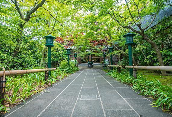 2026年度　第5回【ねりま観光ツアー】田島山十一ヶ寺と練馬城址公園のあじさい鑑賞ツアー 1