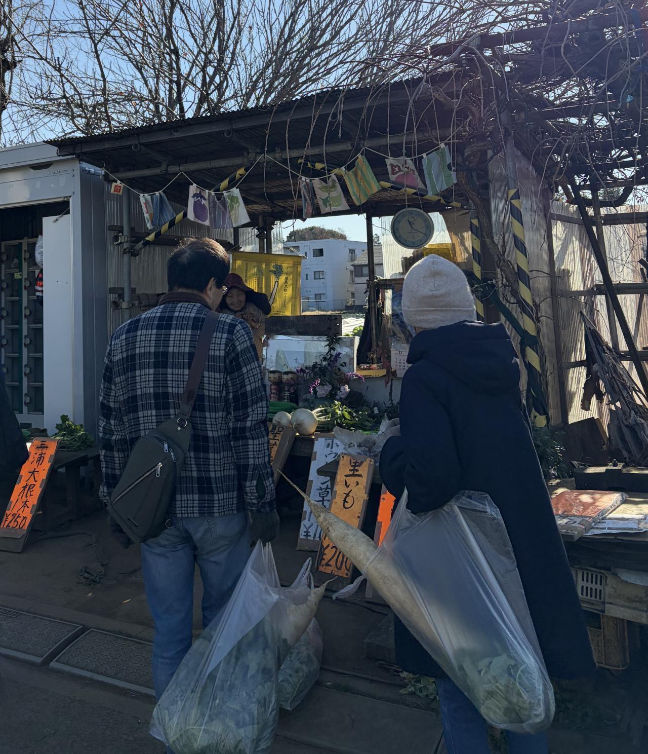  2026年度　第11回【ねりま観光ツアー】農の恵みと風景をめぐるツアー 畑の旬野菜２種と 練馬区の伝統野菜「練馬大根」 収穫体験ツアー参加者募集 3
