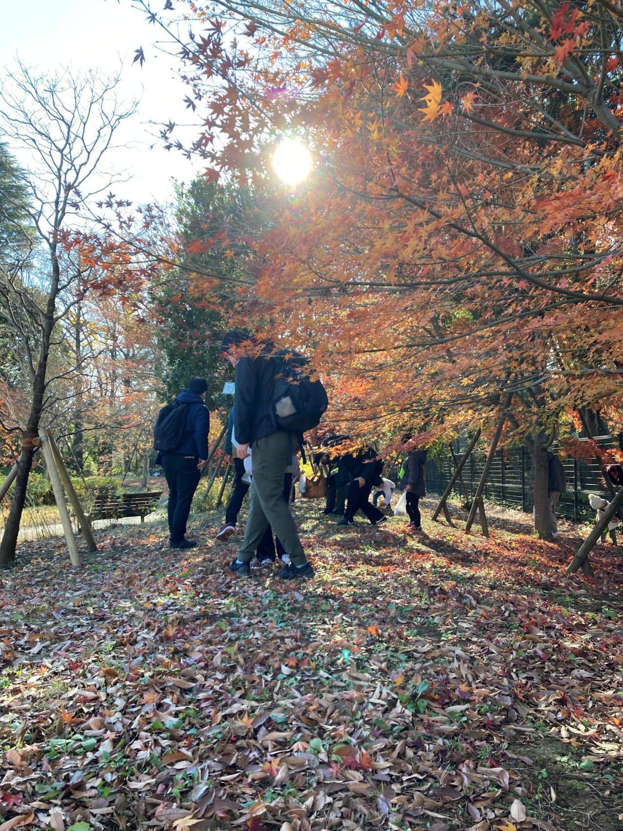 石神井松の風文化公園（素材採取）
