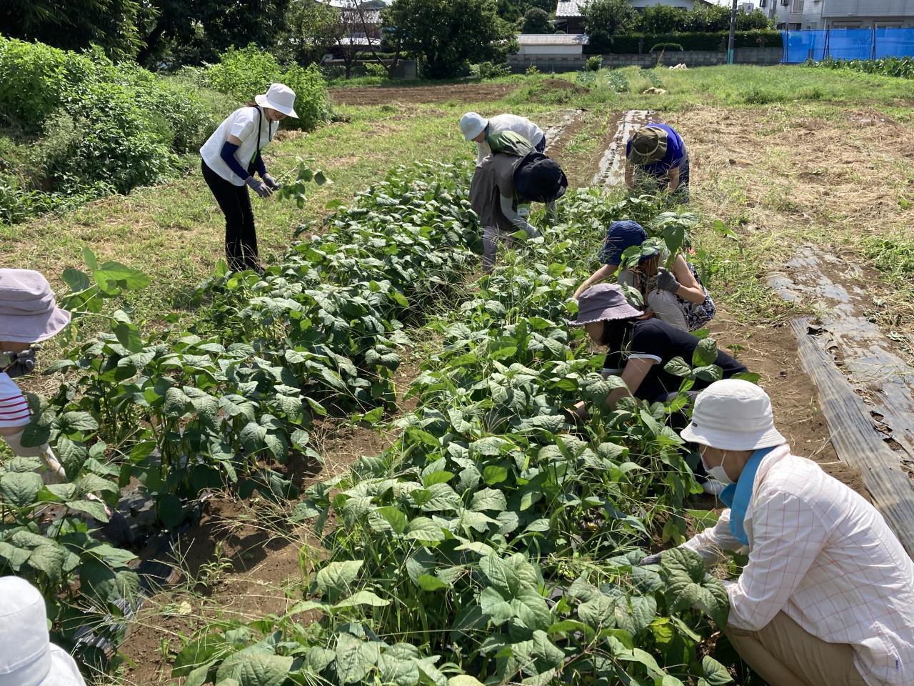 鈴木農園