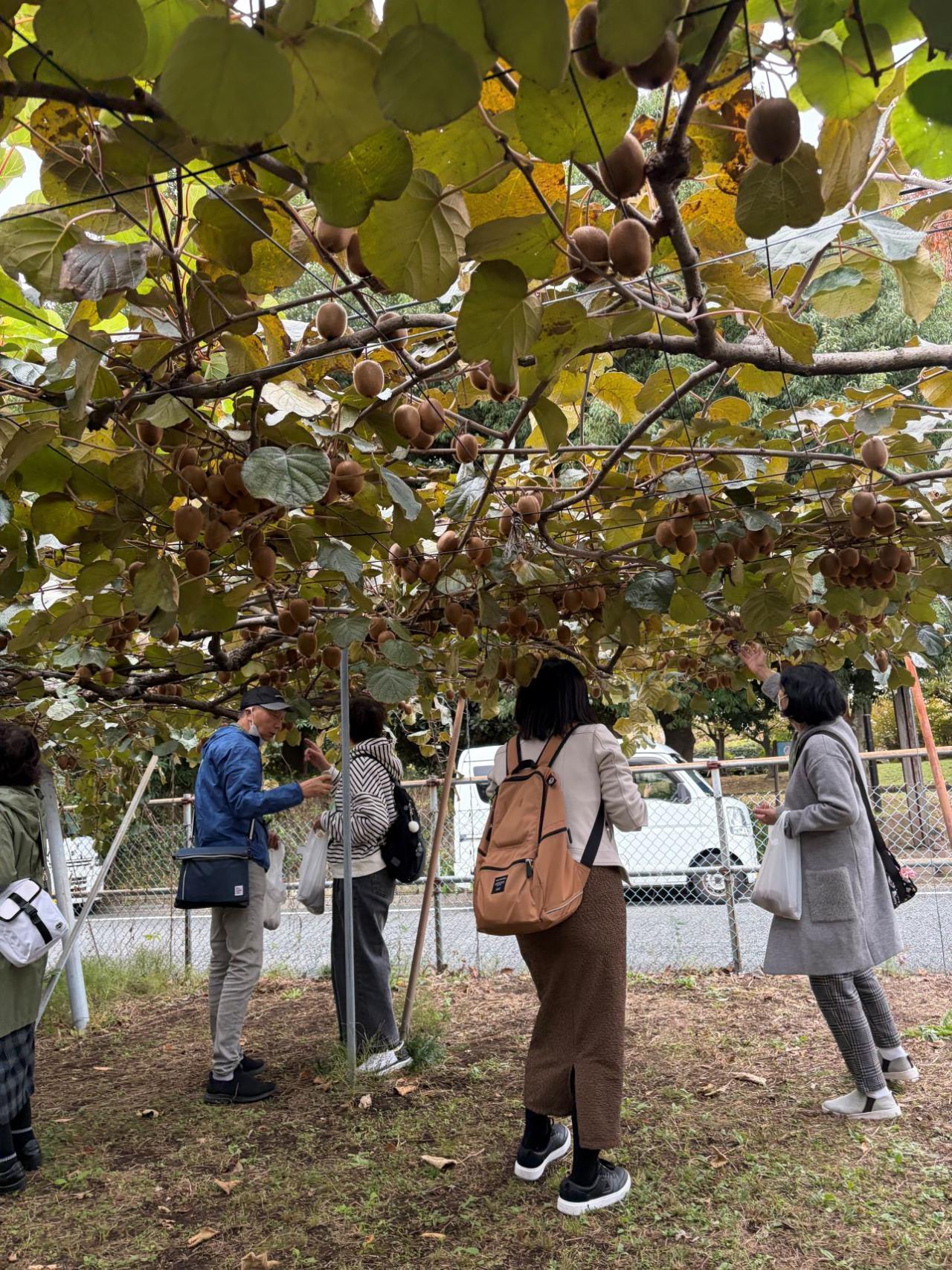 おざわ農園