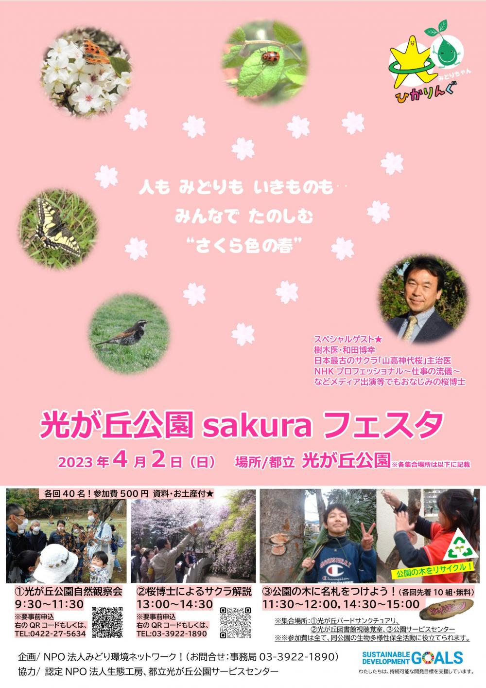 光が丘公園 sakura フェスタ【事前申込制　各回定員40名】 画像