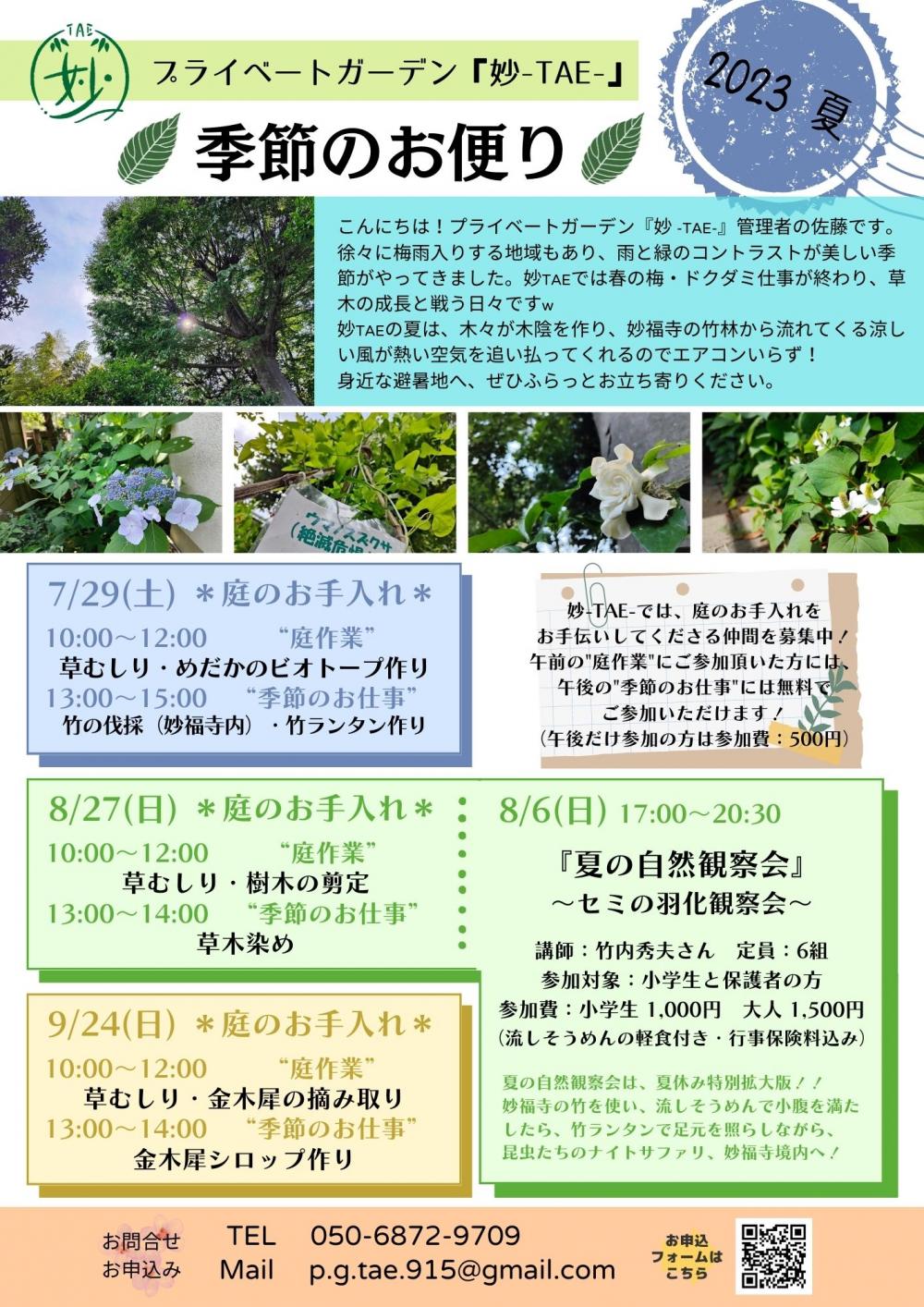 けやきの庭で＜季節のお仕事＞体験