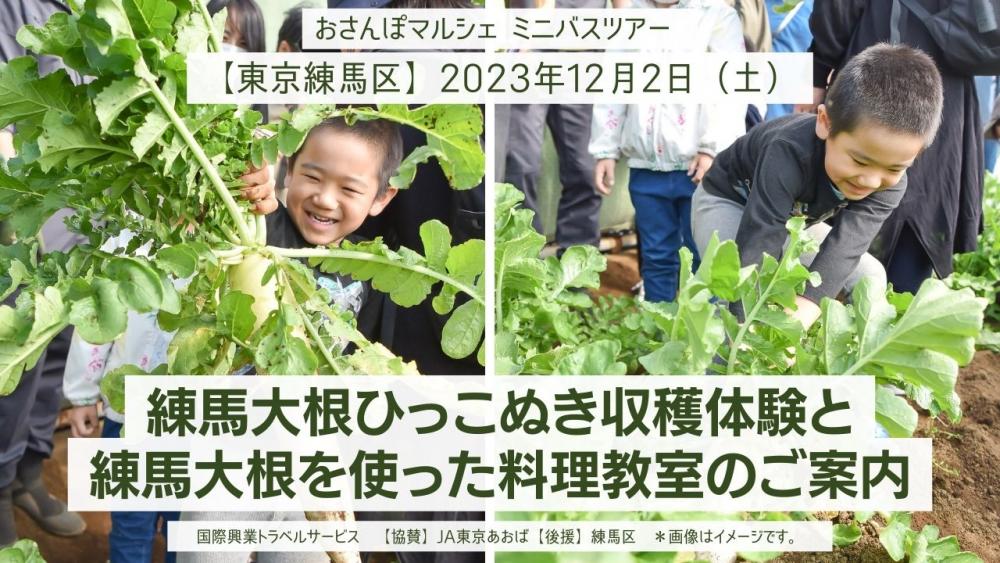 【終了しました】練馬大根の収穫体験と練馬大根を使ったお料理教室