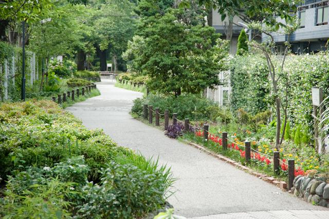 【終了しました】ねりまのねり歩き「A.北町・二つの富士塚コース」「B.錦鯉と植物観察の武蔵関コース」【5月1日(水)締切(必着)】