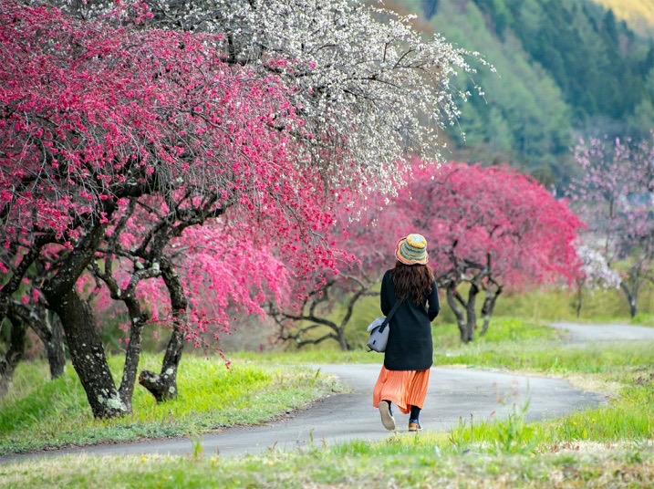 【終了しました】友好都市 長野県・上田市写真展
