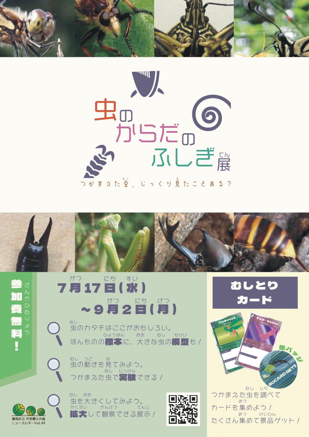 【終了しました】虫のからだのふしぎ展