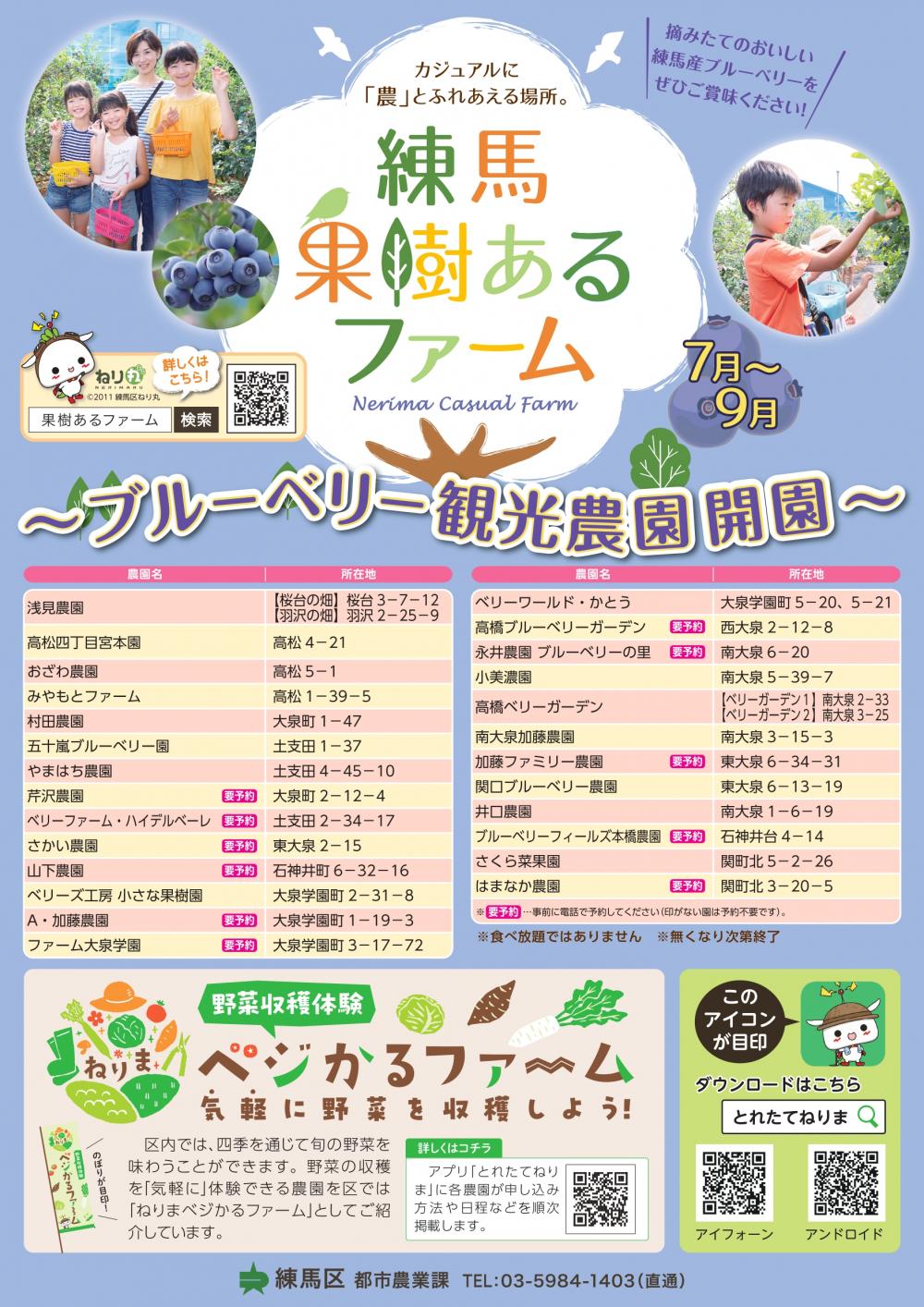 【終了しました】練馬果樹あるファーム ブルーベリー観光農園開園