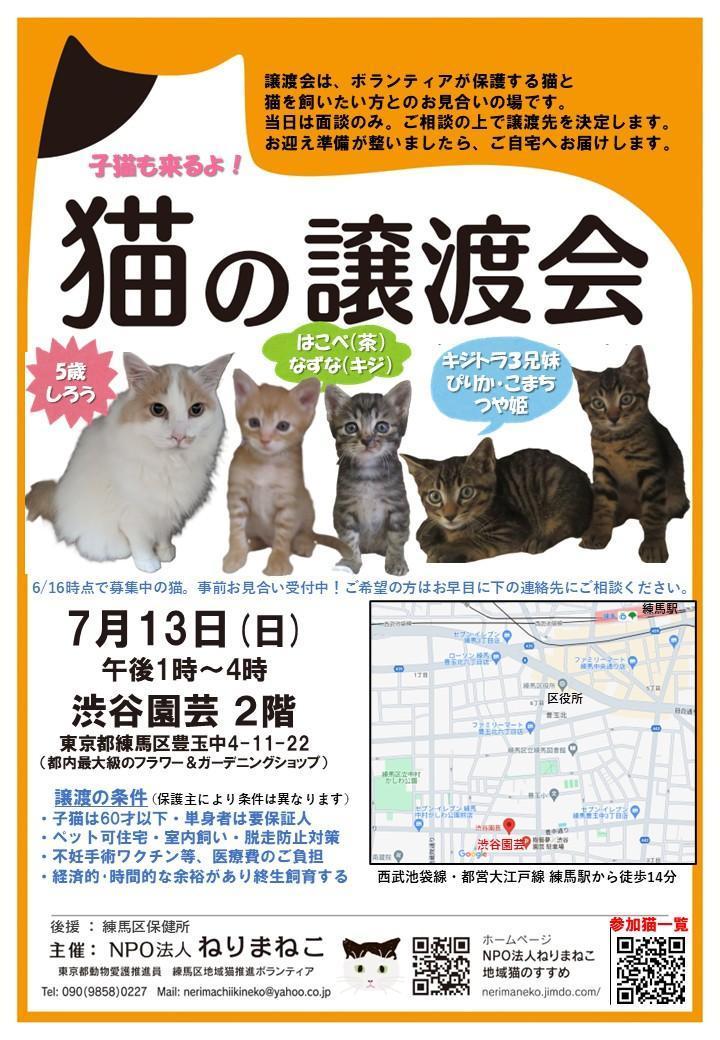 猫の譲渡会 練馬・渋谷園芸