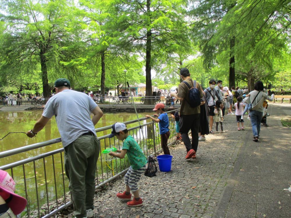 光が丘公園　鑑賞池