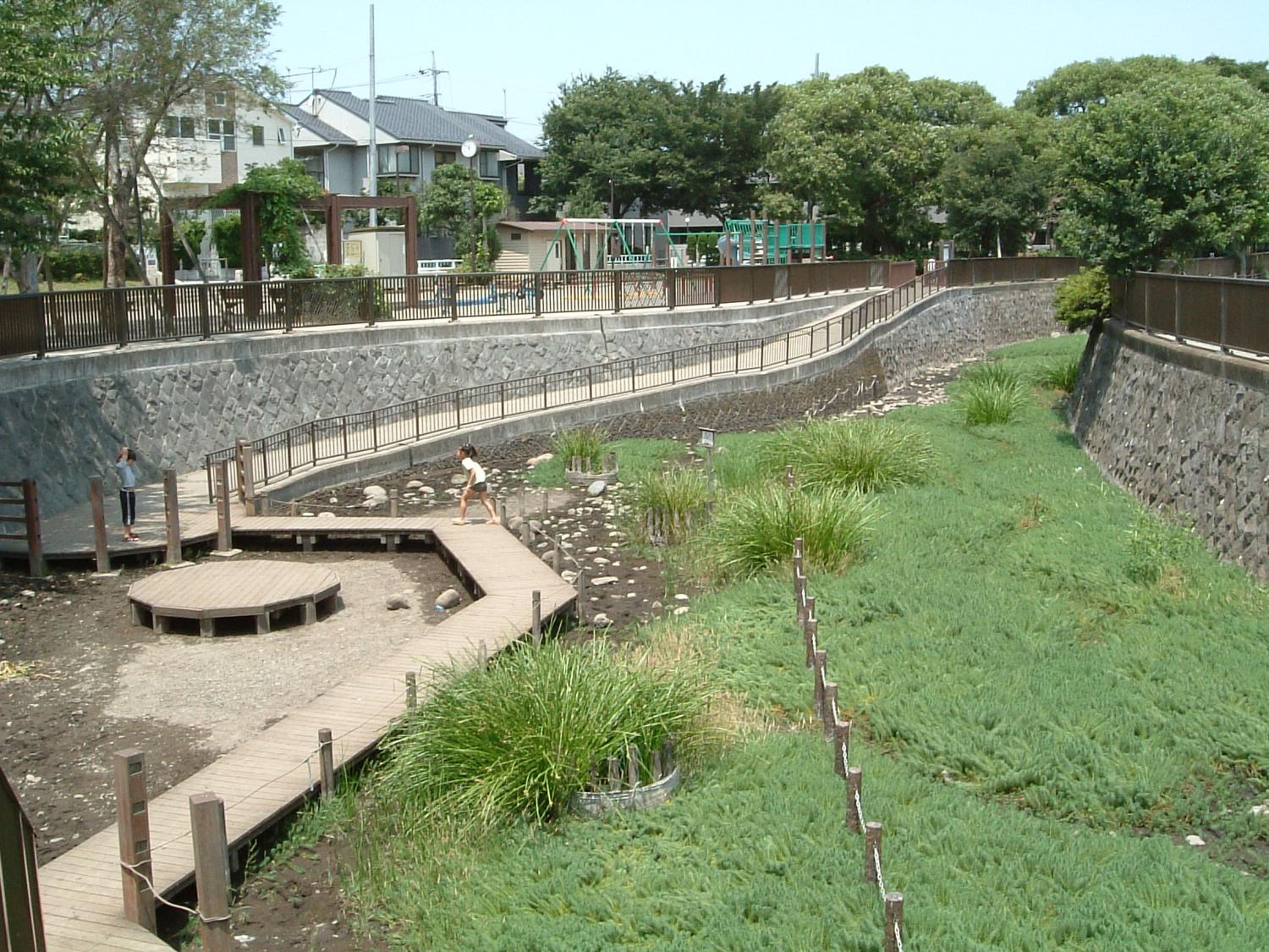 大泉井頭公園 おすすめスポット とっておきの練馬