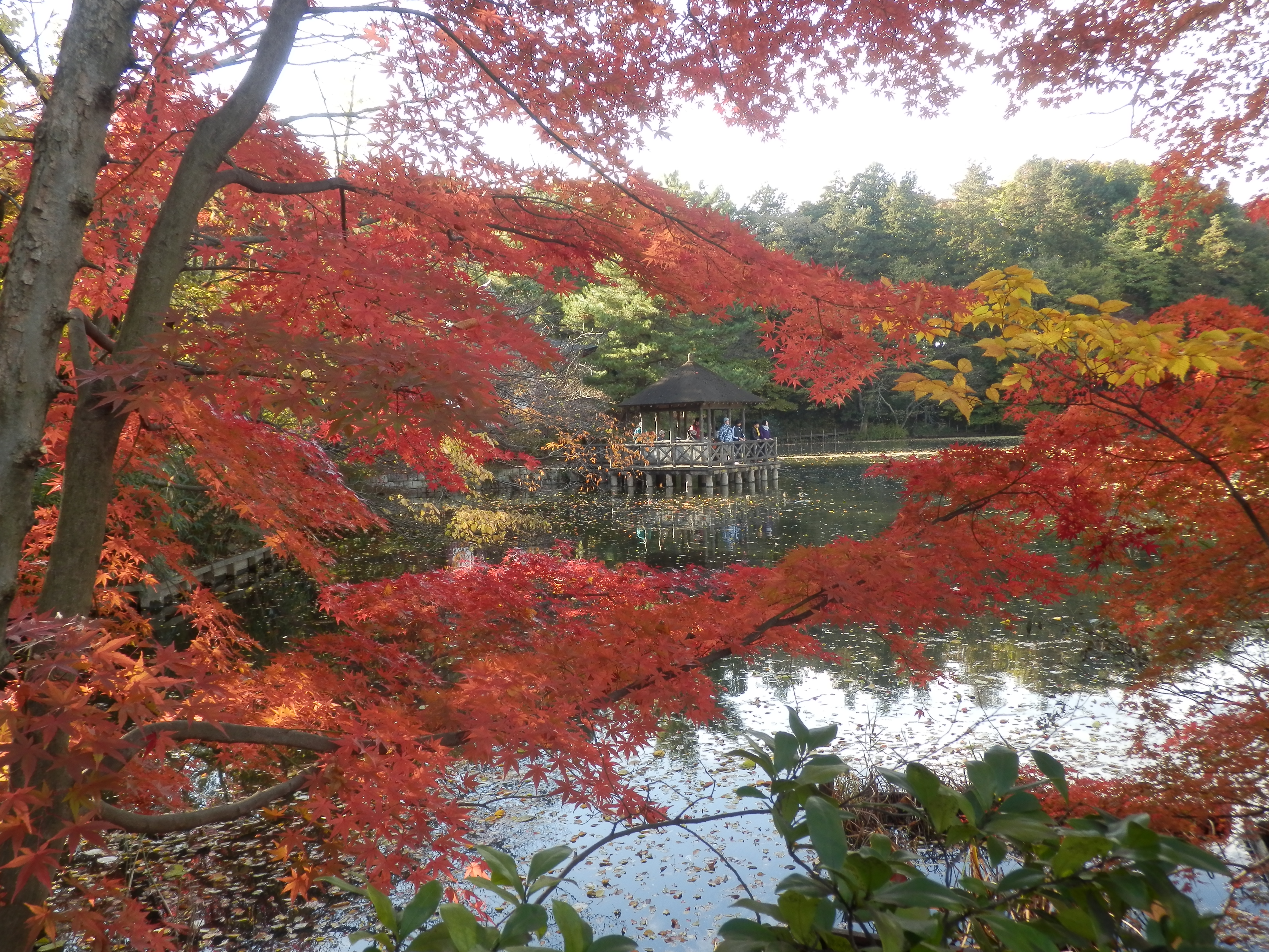 東京ですか？