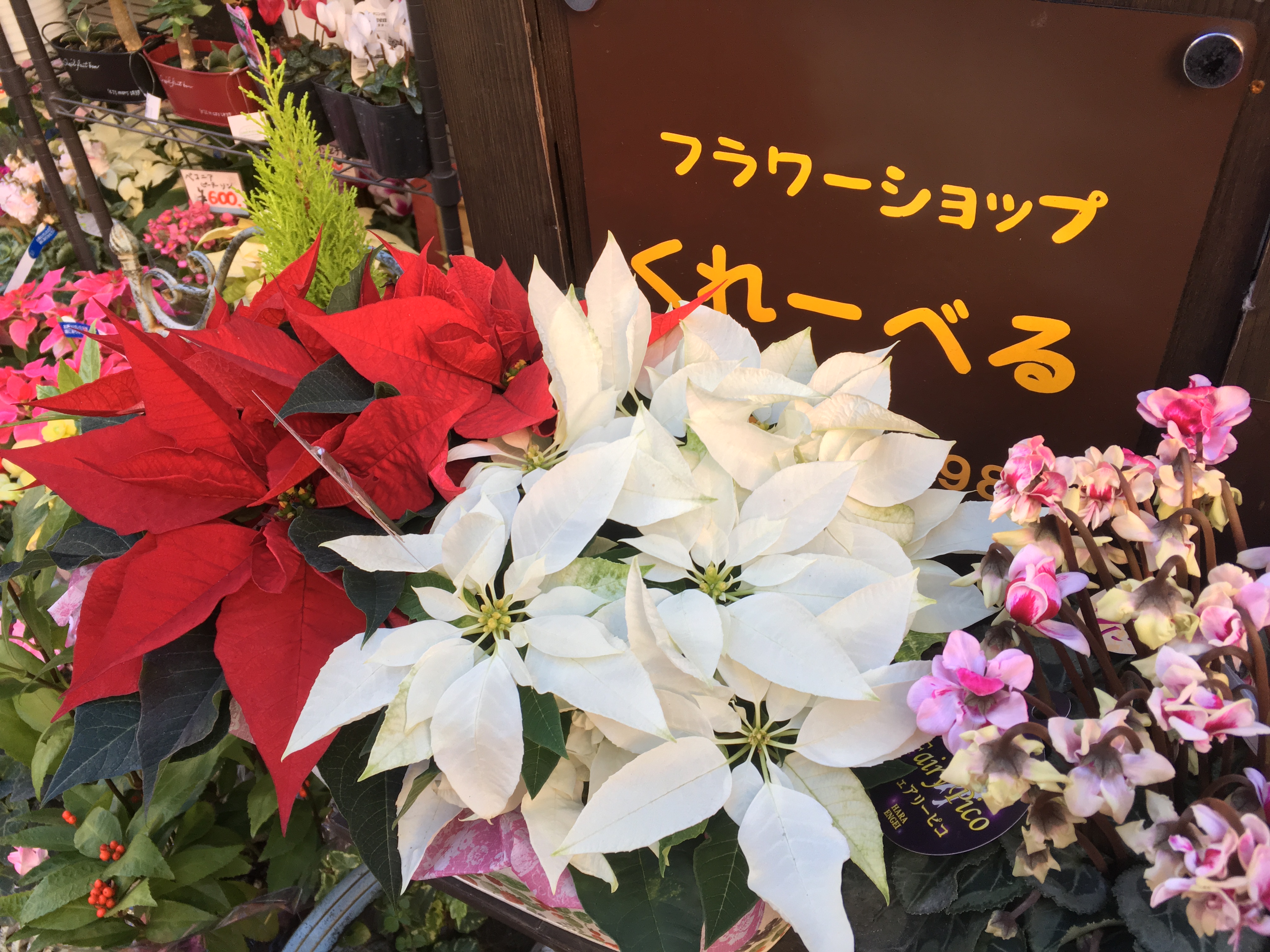 街のお花屋さん