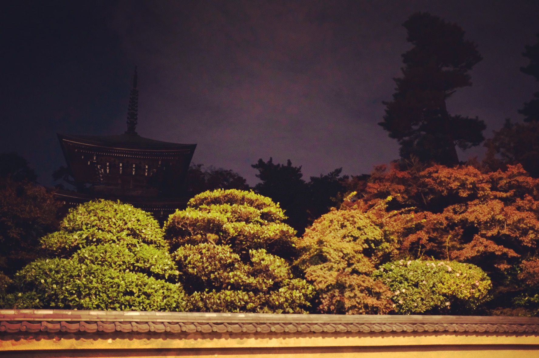 道場寺周辺の秋色 2