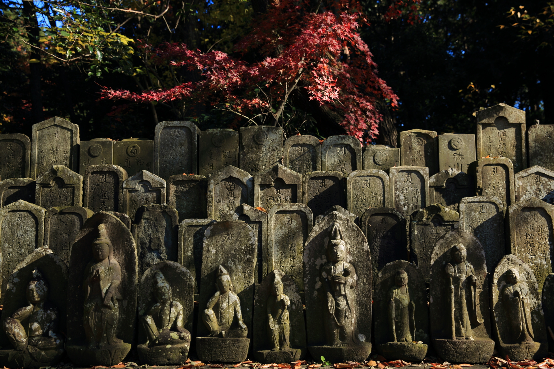 三宝寺の紅葉