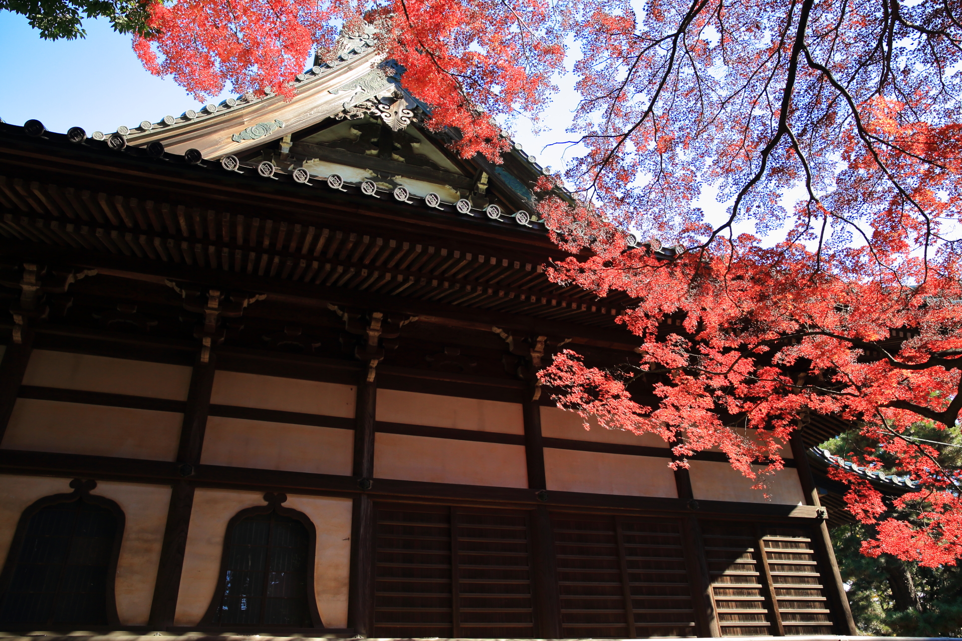 三宝寺の紅葉 2