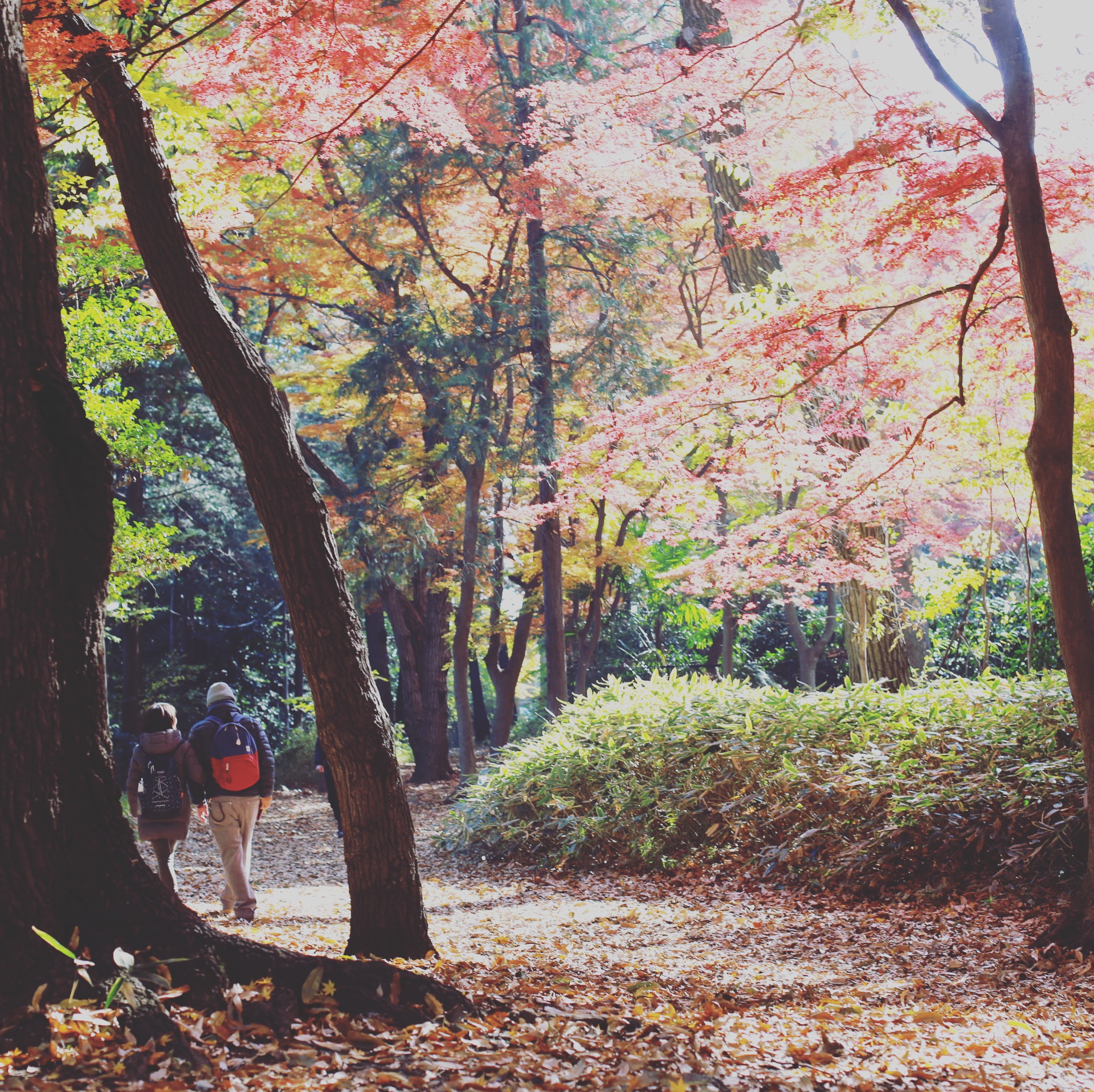 練馬区のある日常