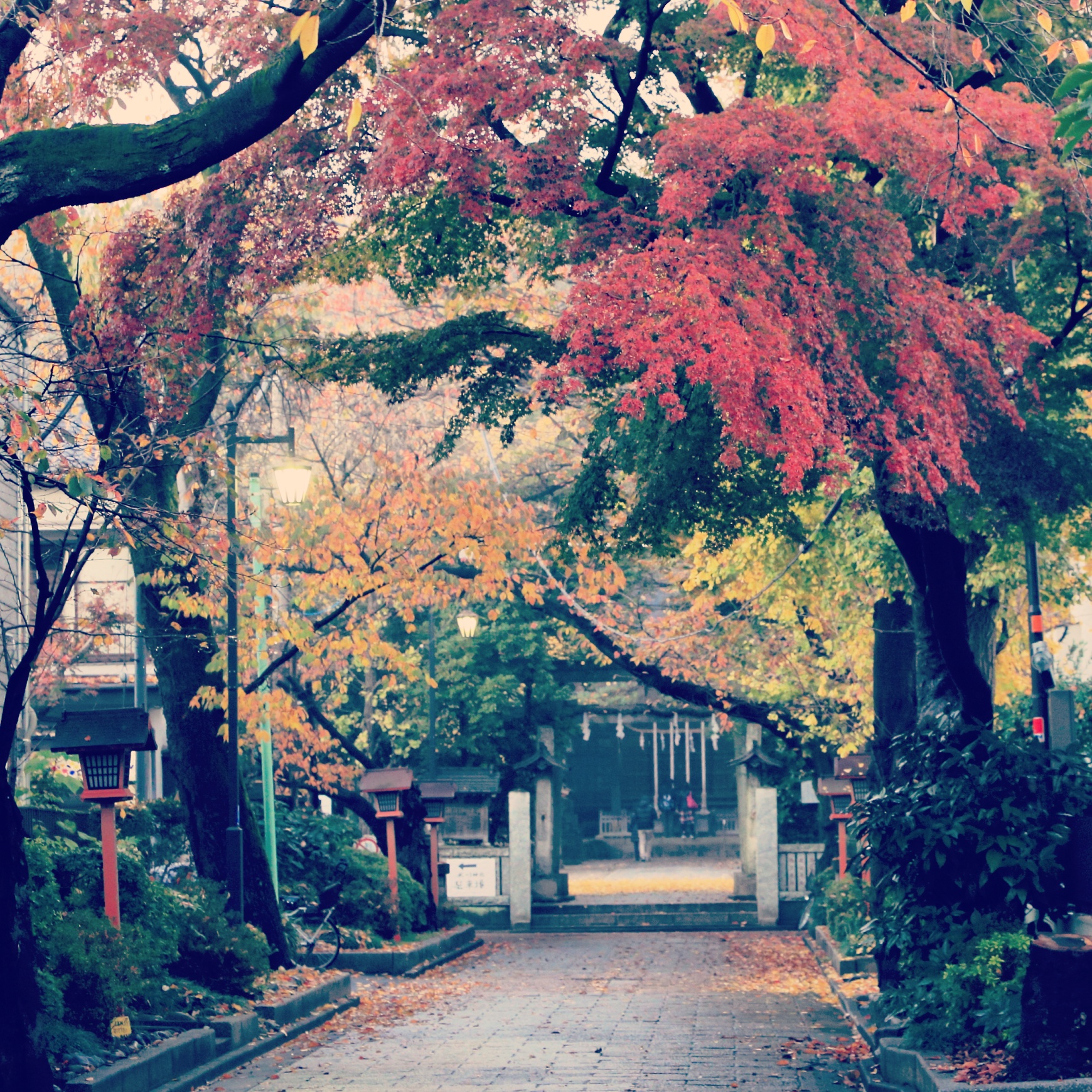 石神井氷川神社参道