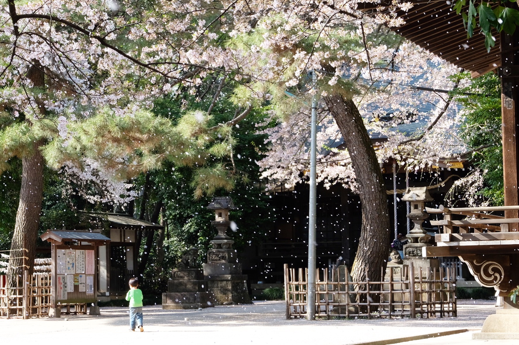 石神井氷川神社