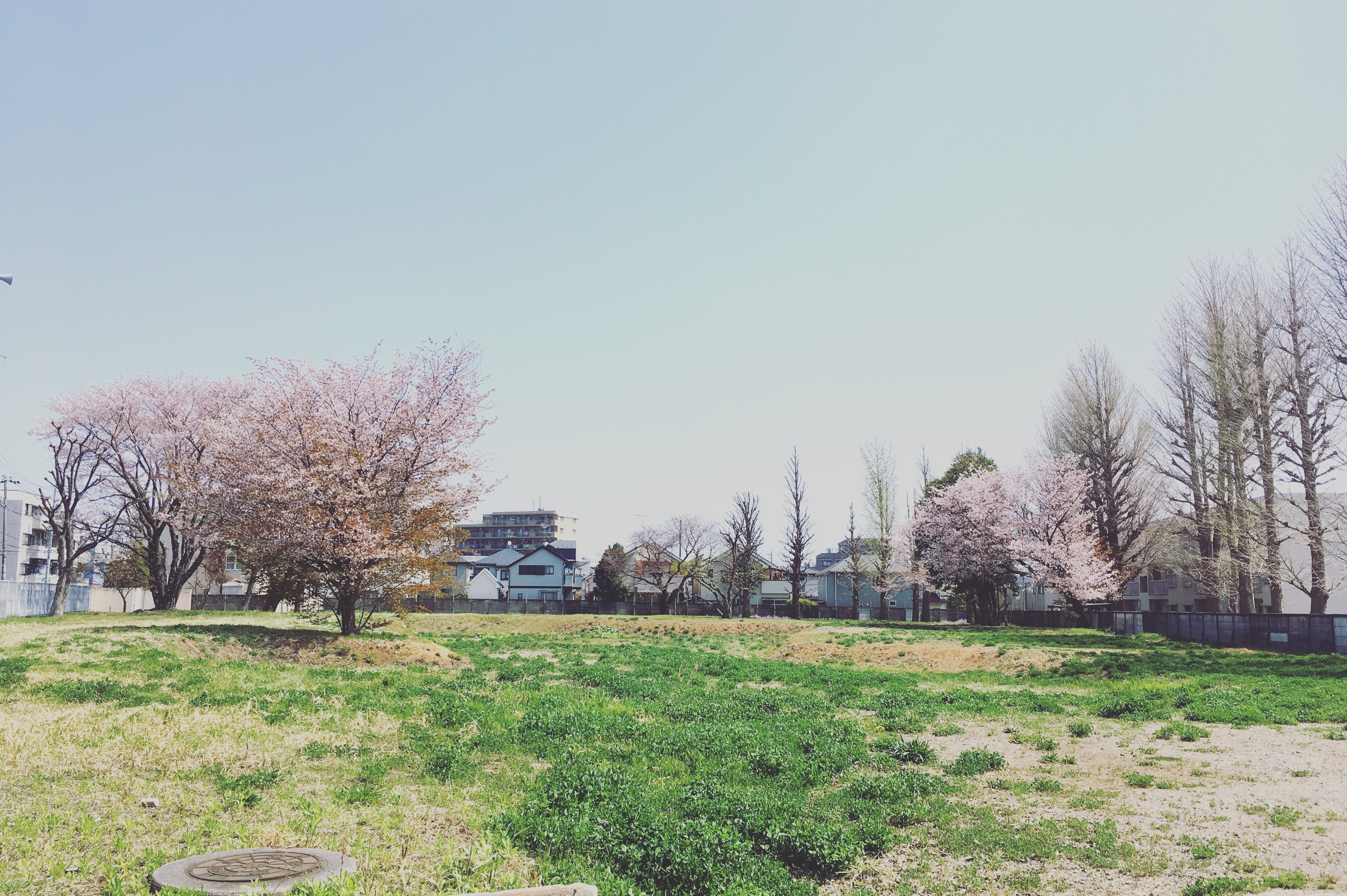 新しい公園