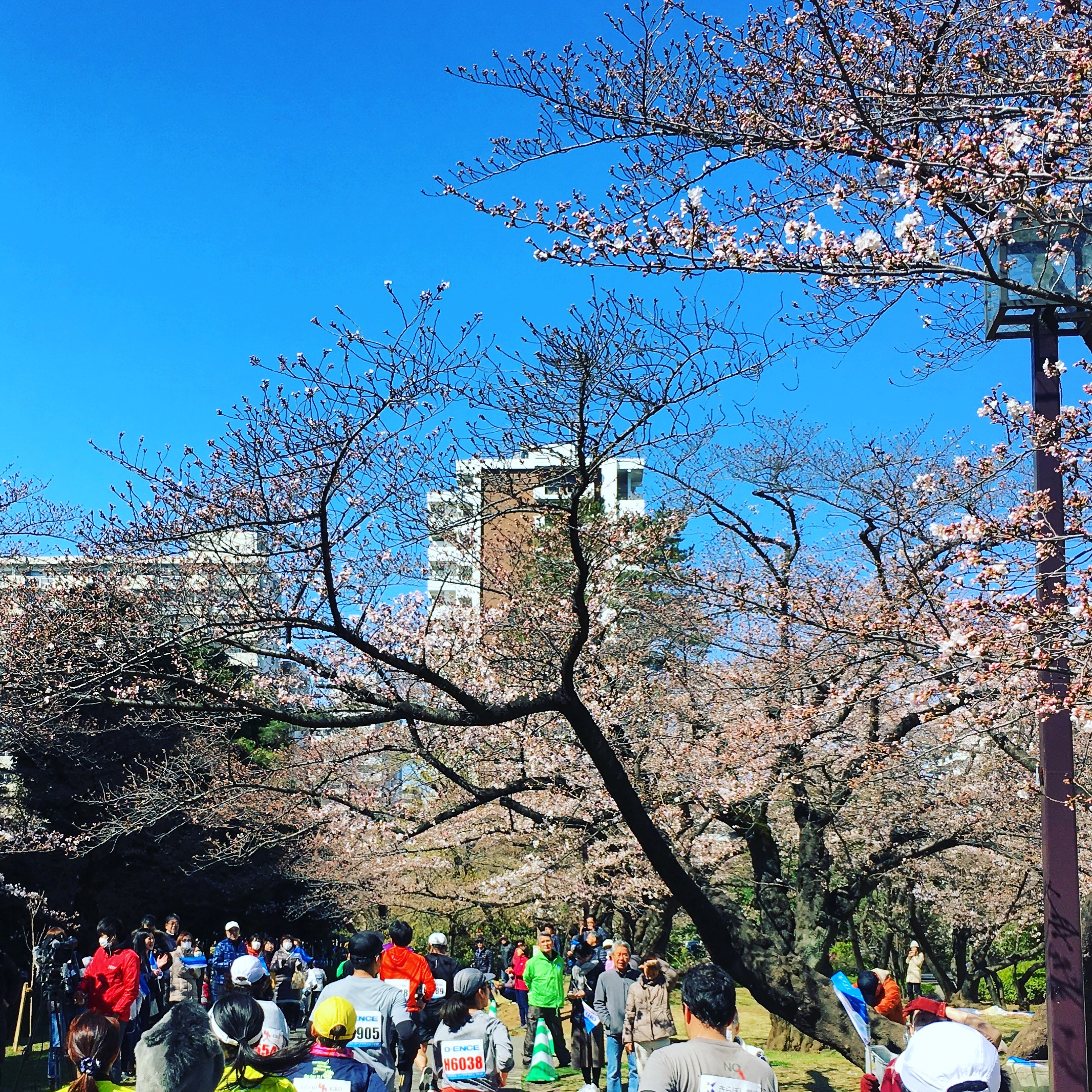 練馬こぶしハーフマラソン