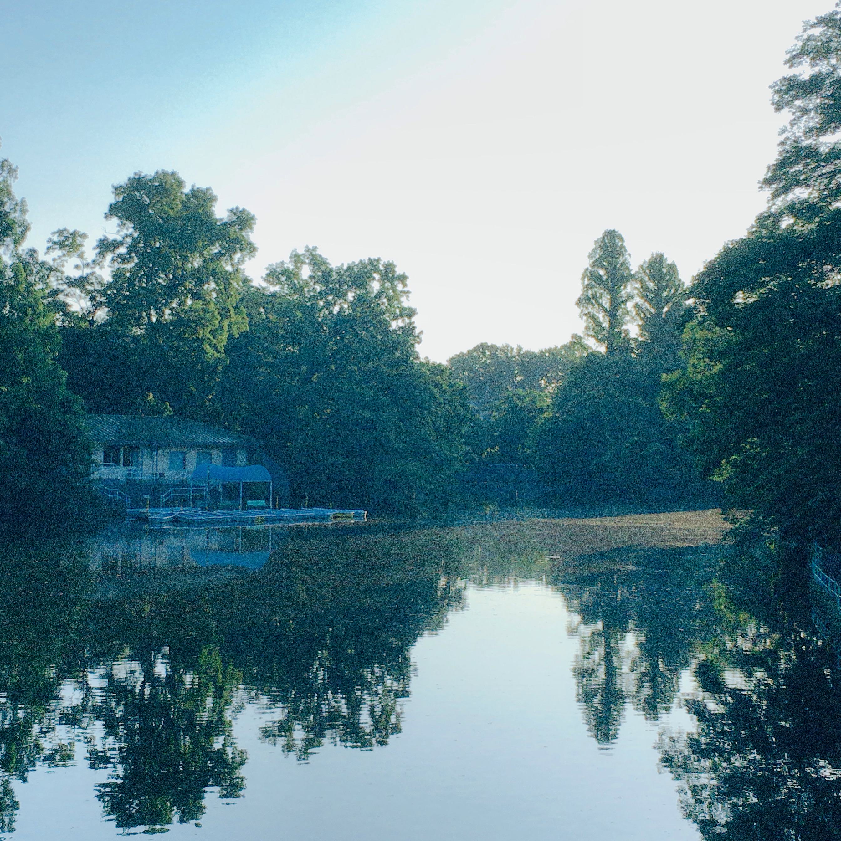 早朝の武蔵関公園