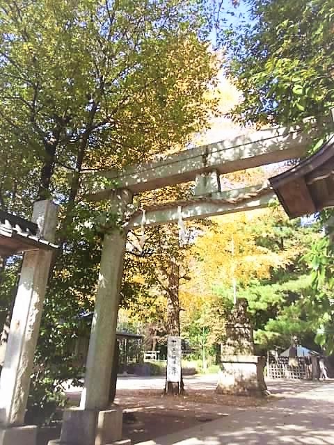 石神井の氷川さん 1