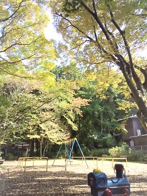 石神井の氷川さん 2