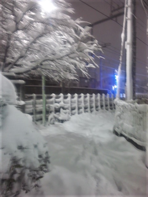 雪国 1