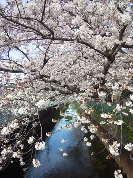 宮本橋から 1