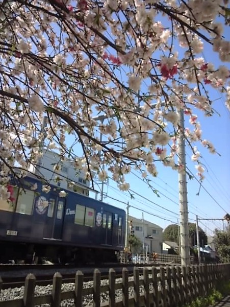 花電車 2