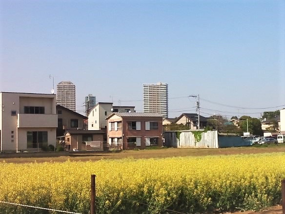 この花なーんだ？ 1