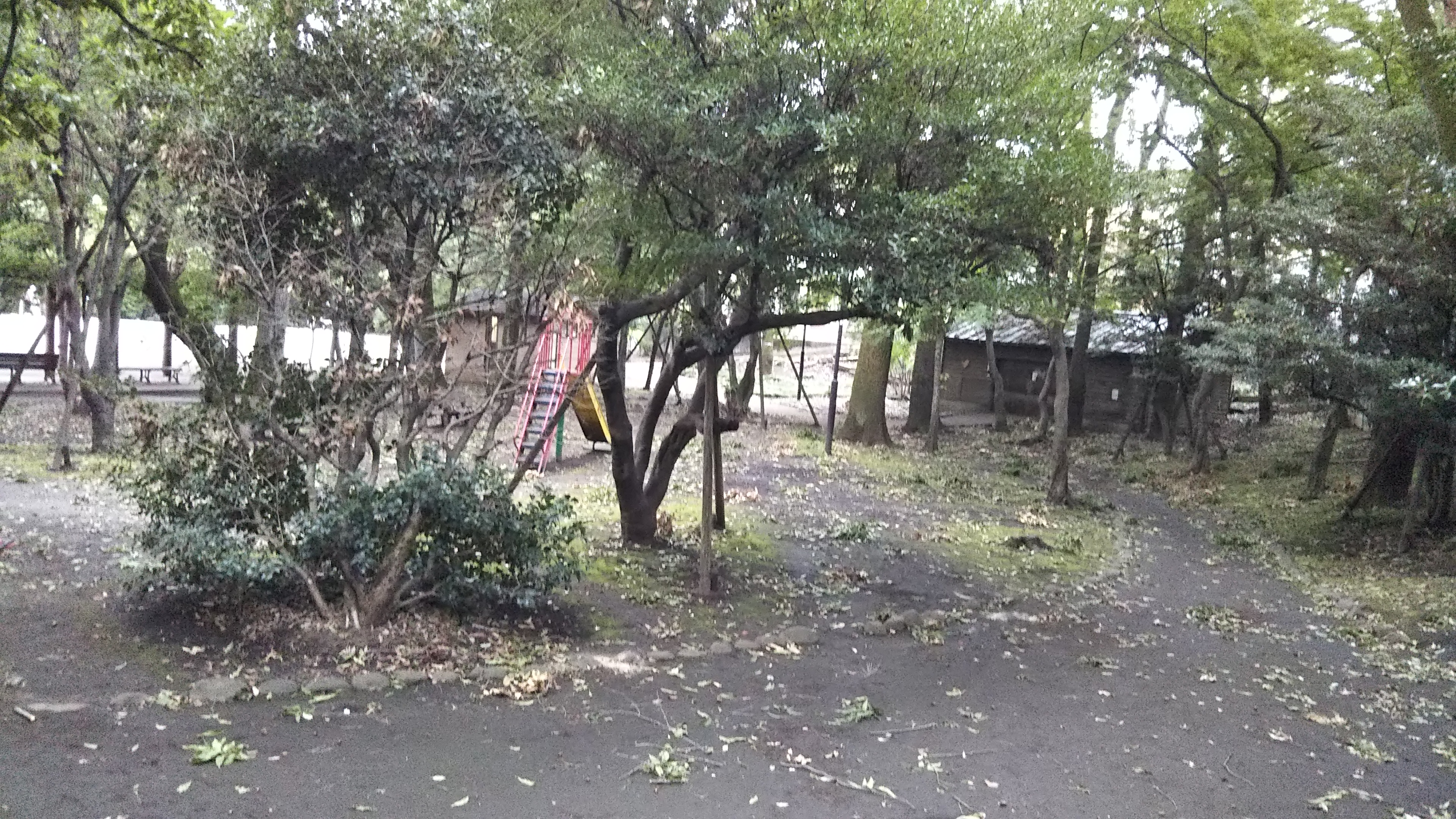 台風一過の武蔵関公園