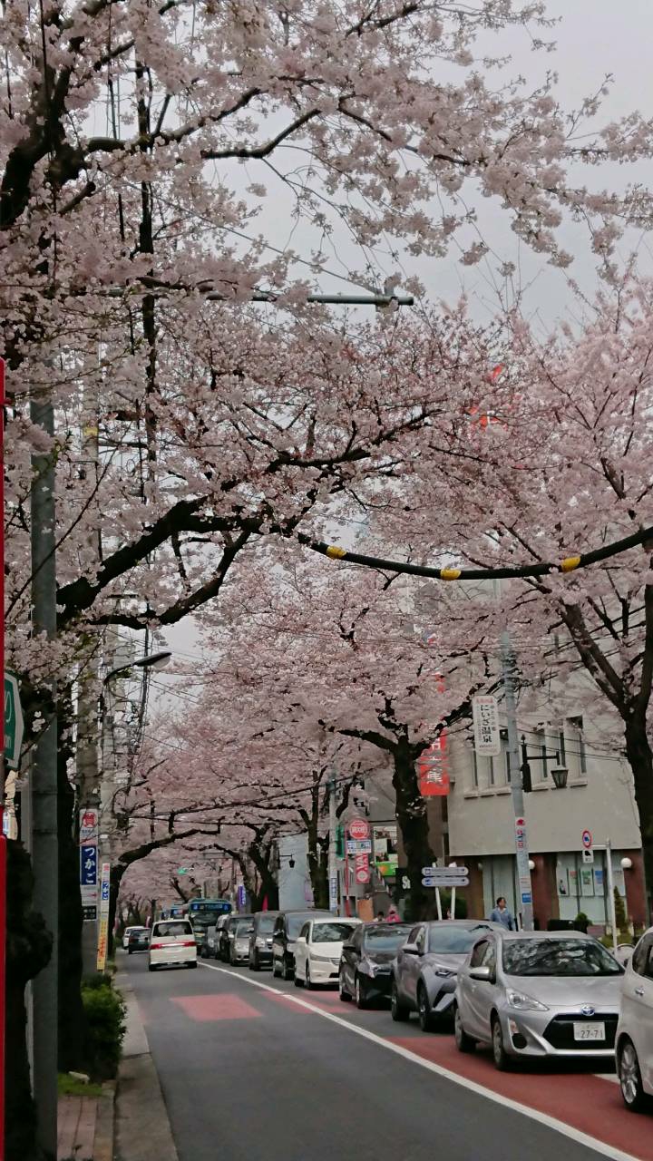 大泉学園町体育館リニューアル