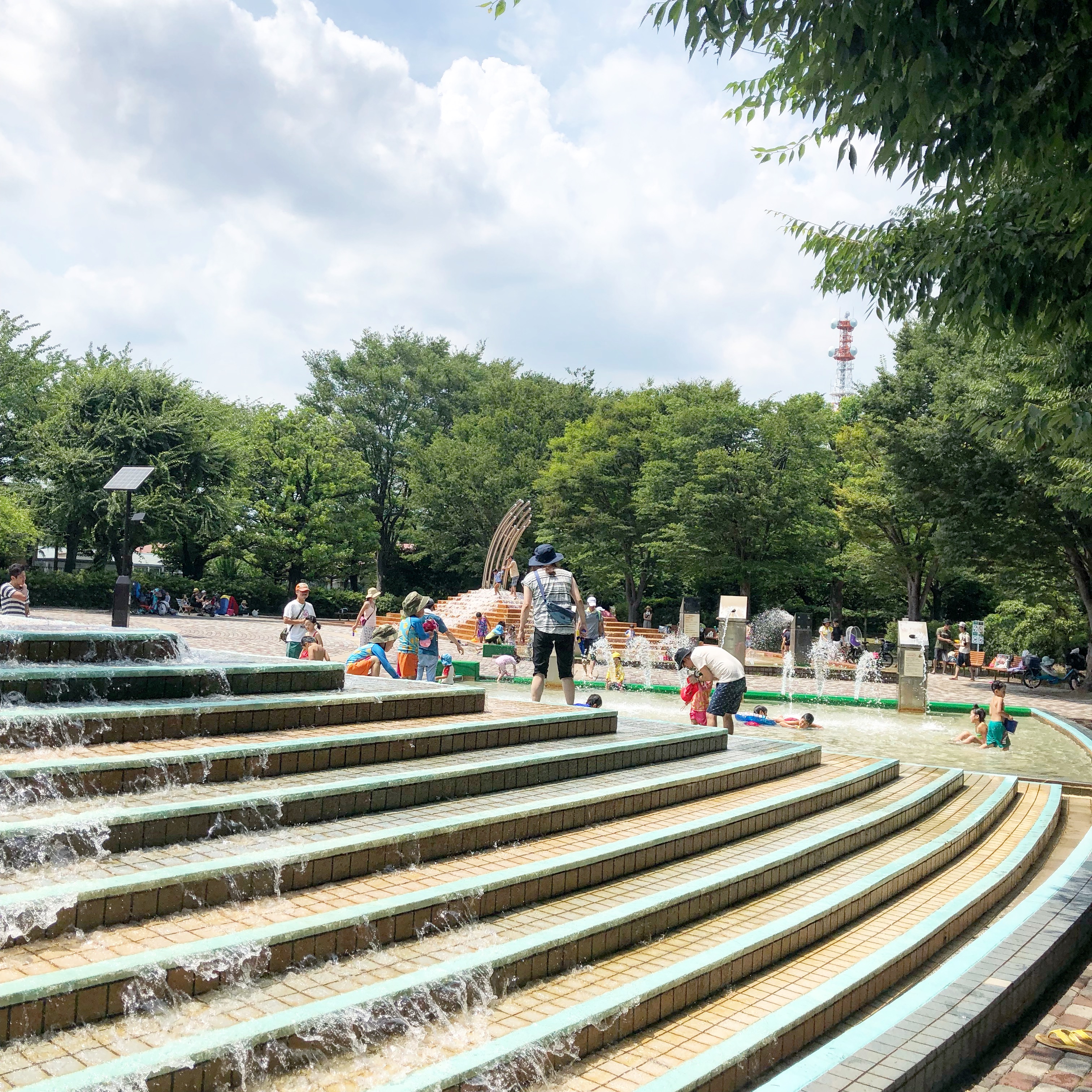大泉中央公園 1