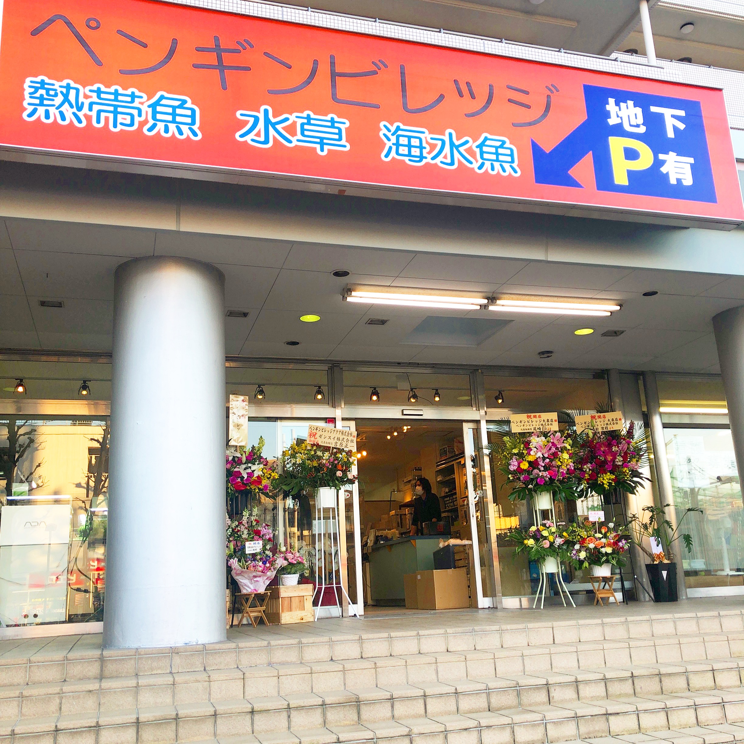 熱帯魚屋さん 1