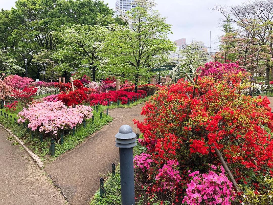 平成つつじ公園